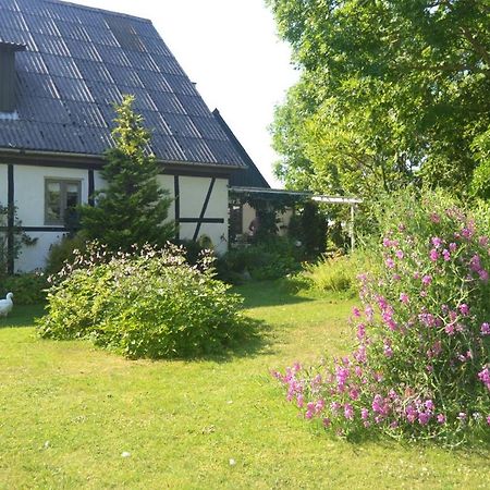 Byens Rareste B&B Harlev  Exterior foto
